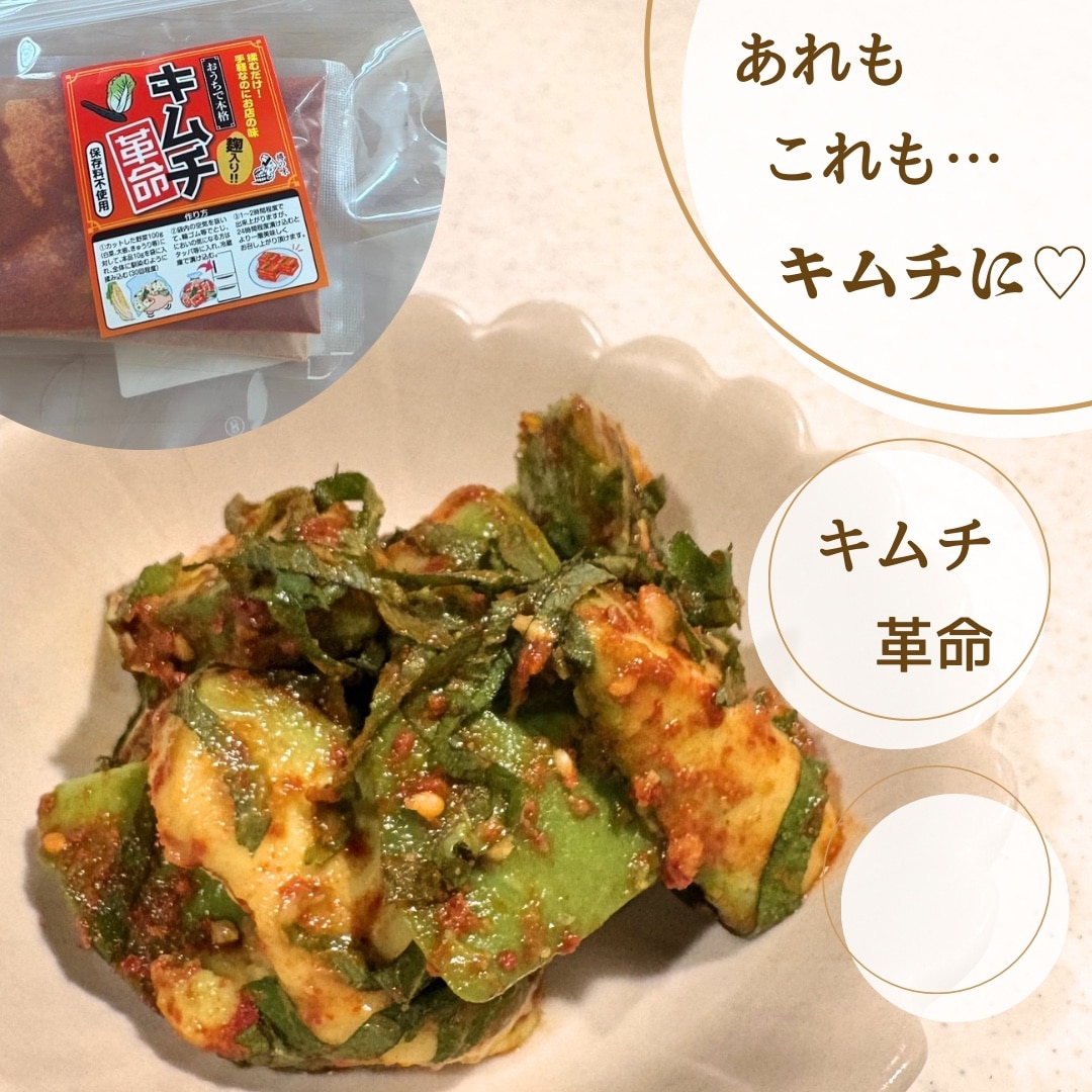 キムチ革命 無添加 キムチの素 お家で手作り メール便送料無料 樽の味 国産 乳酸菌 発酵食品 時短 おかず おつまみ 焼肉 冷麺 冷奴 夏バテ対策 子供も安心 自家製 キムチ 元祖 『キムチ革命』【メール便対応1通1個まで】 腸活